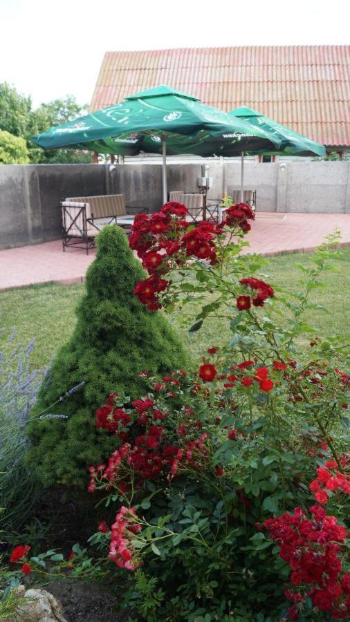 Hotel Bourbon Vama Veche Luaran gambar